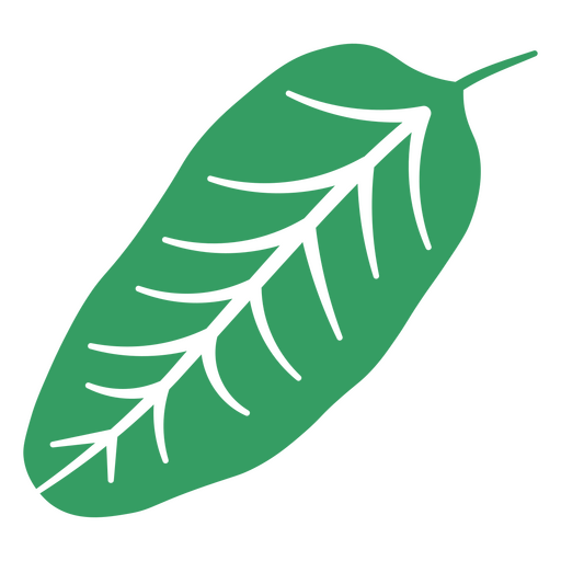 Vibrant green leaf illustration design PNG Design