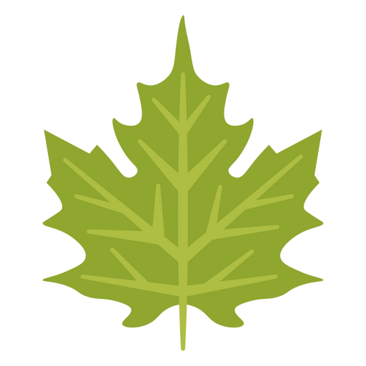 Green detailed leaf design PNG Design