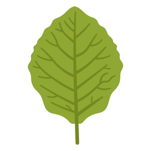 Design de camiseta com folhagem verde minimalista para amantes da natureza Desenho PNG
