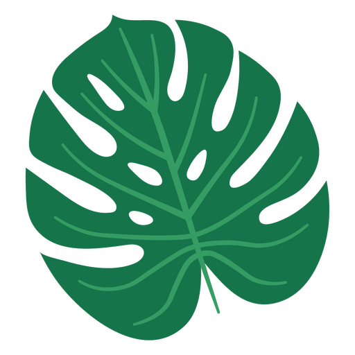 Desenho de folha de monstera verde Desenho PNG