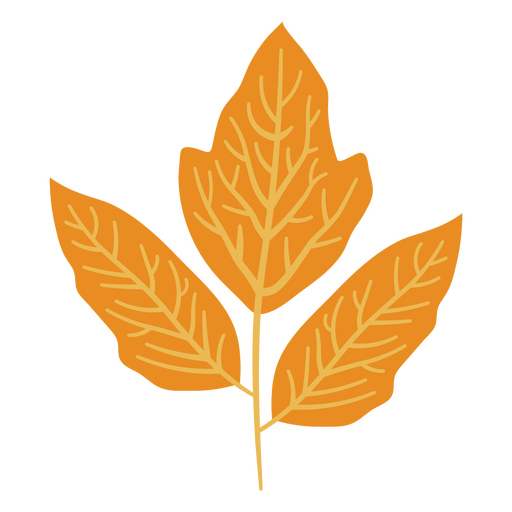 Autumn orange leaf design PNG Design