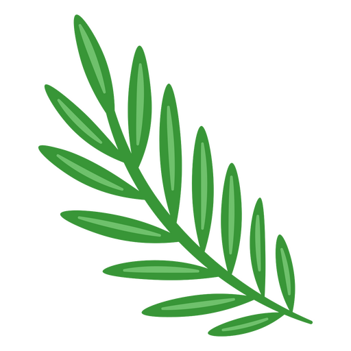 Ilustração de folha de palmeira verde vibrante Desenho PNG