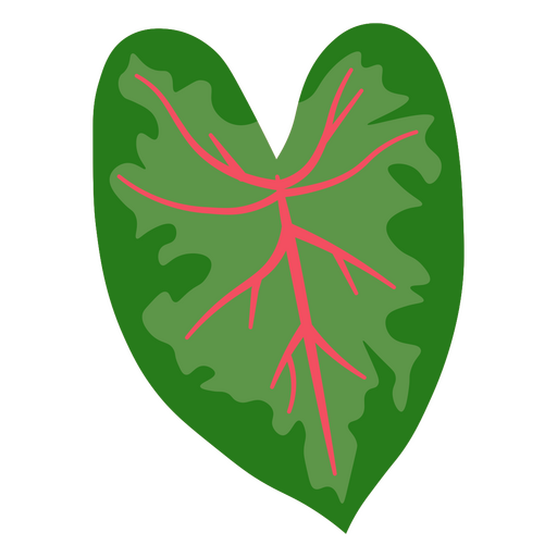 Vibrant leaf illustration with bold veins PNG Design