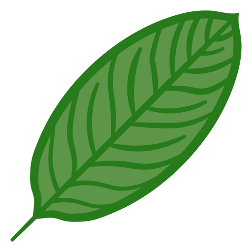 Design de folha de planta verde Desenho PNG