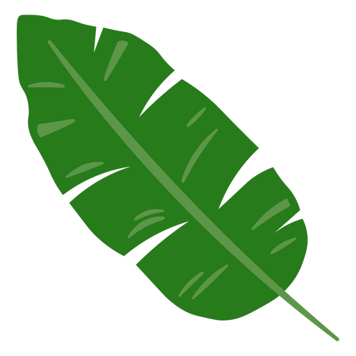 Design de folha de palmeira verde Desenho PNG