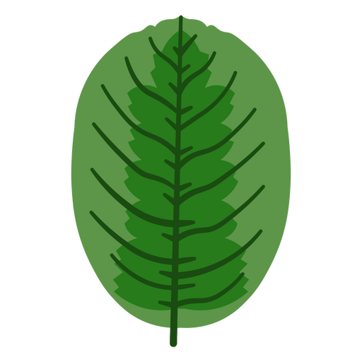 Schlichtes grünes Blattdesign mit markanter Adernstruktur für stilvolles Dekor PNG-Design