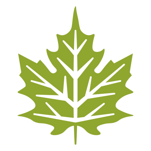 Diseño de hoja verde recortado. Diseño PNG