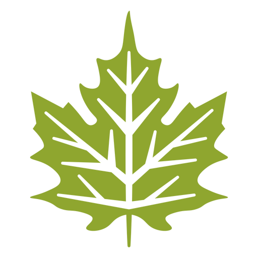 Green leaf design cut out PNG Design