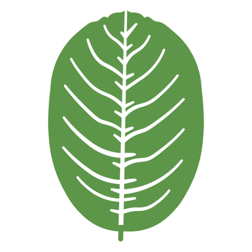 Simplistic green botanical illustration design PNG Design