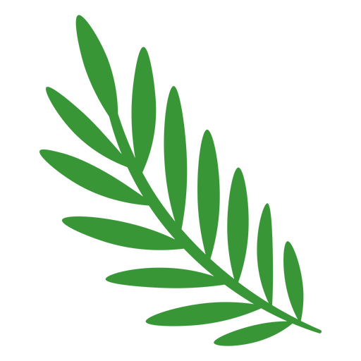 Design elegante de camiseta com folhagem verde para amantes da natureza Desenho PNG
