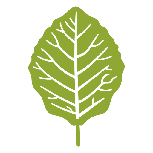 Design gráfico estilizado de folhas verdes Desenho PNG