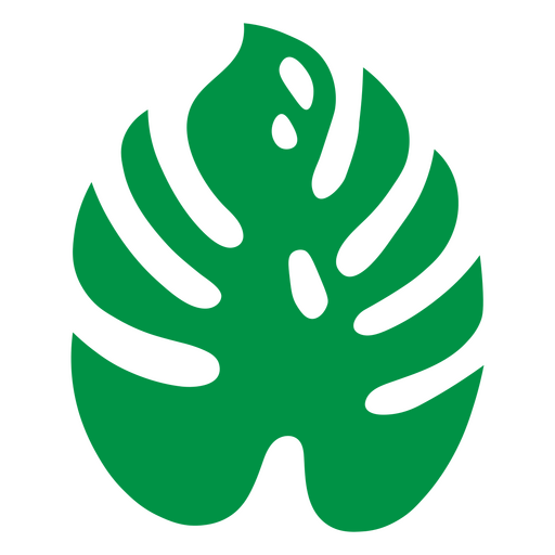 Desenho de folha de monstera verde  Desenho PNG