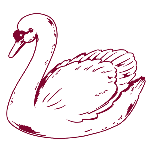 Design romântico de cisne Desenho PNG