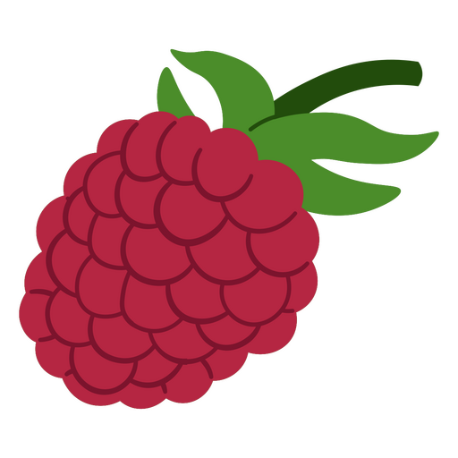 Diseño de frambuesa Diseño PNG