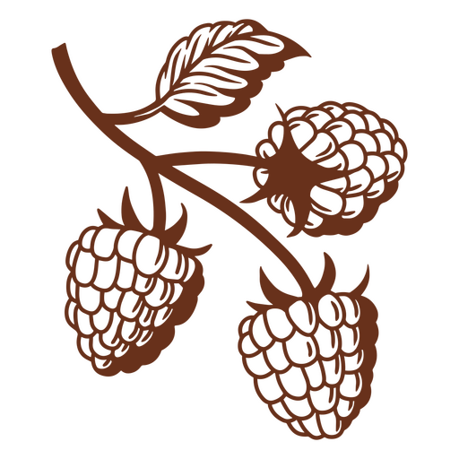 Brown Berry Design PNG & SVG Design For T-Shirts