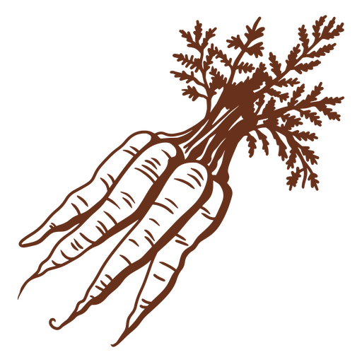Rustic carrot illustration with detailed greens PNG Design