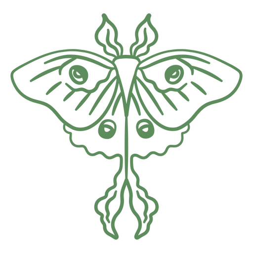 Patrón de ojos de mariposa verde Diseño PNG