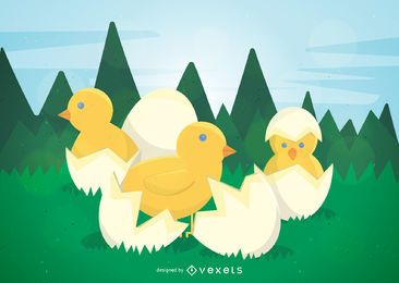 Pollos de pascua Pollos de pascua