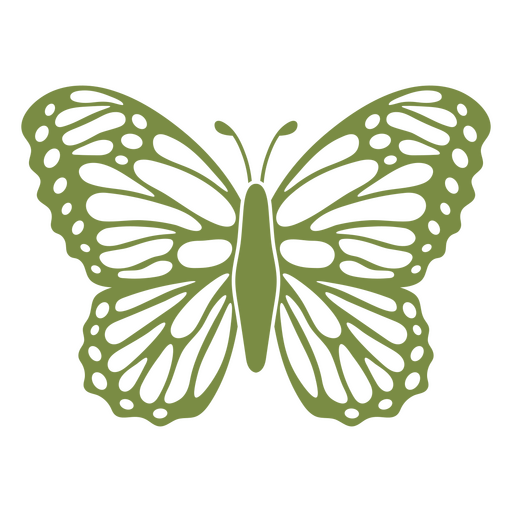 Design de borboleta verde detalhado Desenho PNG