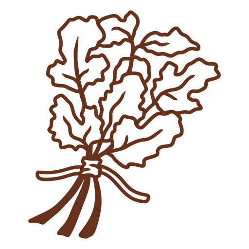 Rustikale Rote-Bete-Illustration PNG-Design