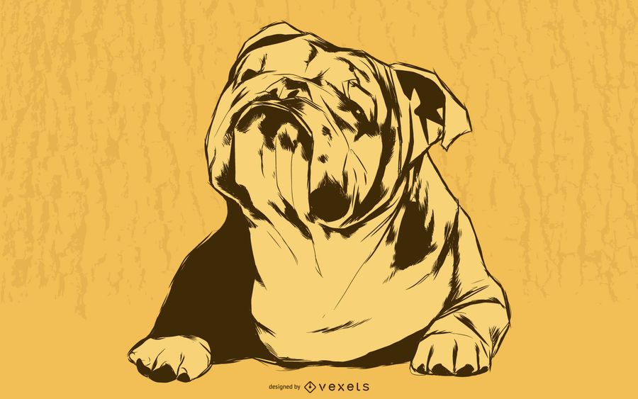 Bulldogge-Illustration Bulldogge-Illustration