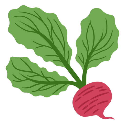 Beetroot design PNG Design