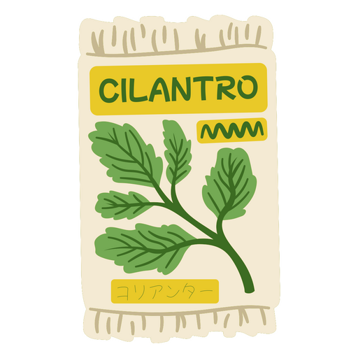 Cilantro design PNG Design