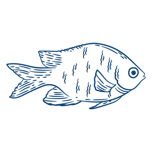 Elegant Fish Sketch PNG Design