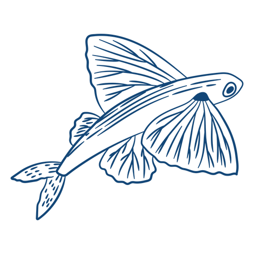 Blue and white fish design PNG Design