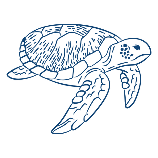 Diseño de arte lineal de tortuga Diseño PNG