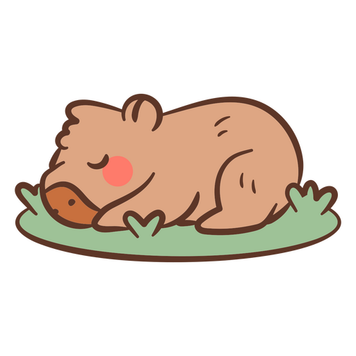 Cute sleeping wombat illustration PNG Design
