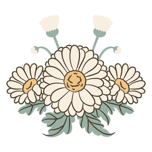 Diseño floral de margaritas con delicados detalles. Diseño PNG