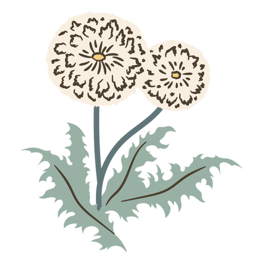 Ilustración vintage de diente de león Diseño PNG