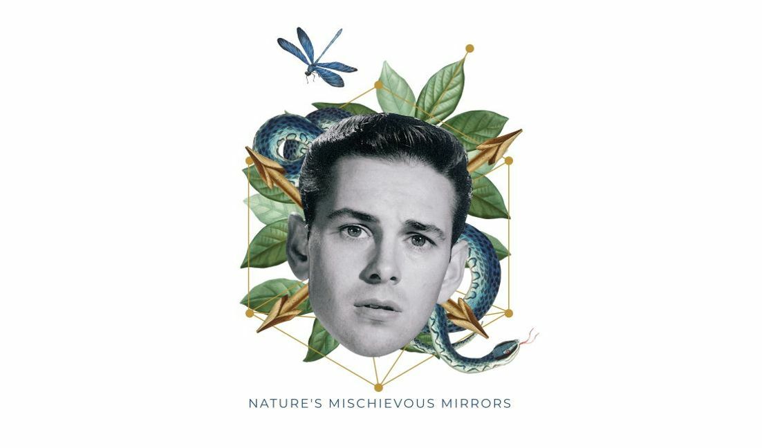 Modelo de design para camiseta Colagem de natureza caprichosa com elementos surreais