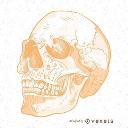 Wicked vector skull illustration