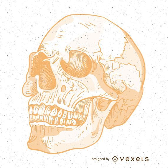 Wicked vector skull illustration Wicked vector skull illustration