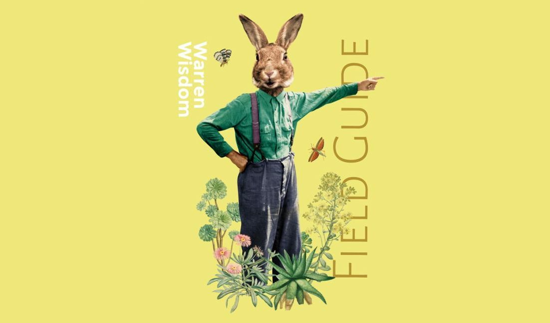 Whimsical rabbit field guide illustration t-shirt design template