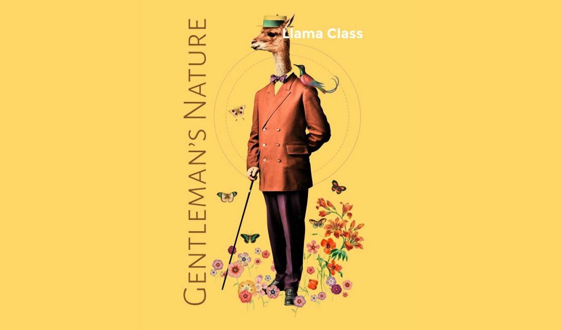 Whimsical llama gentleman illustration t-shirt design template