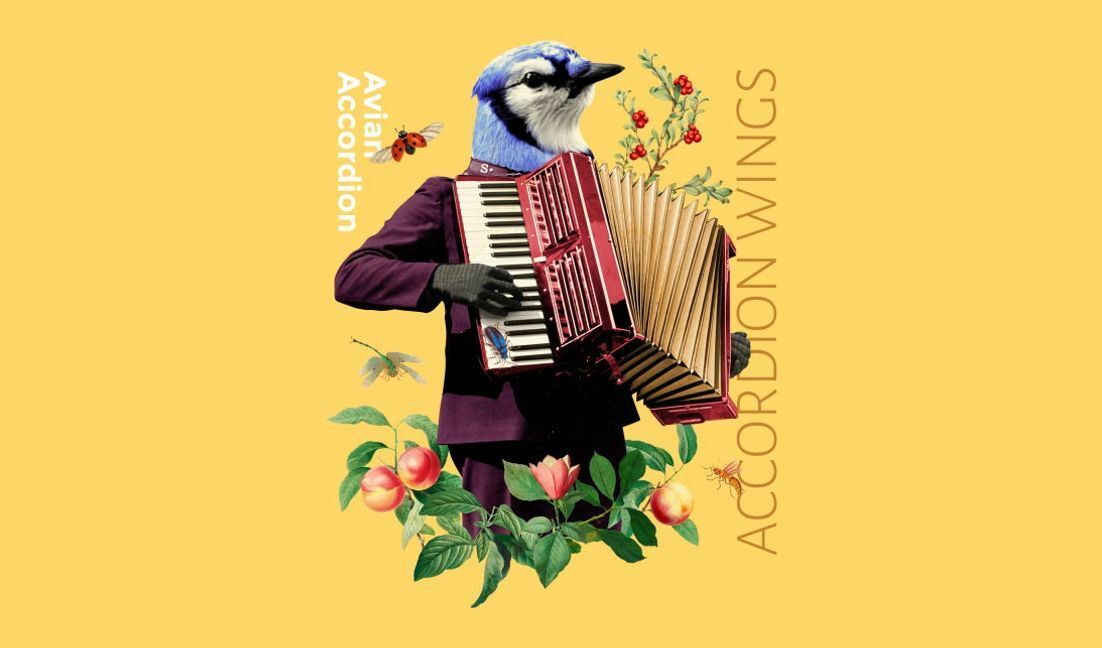 Plantilla de diseño para camiseta Diseño de acordeón lúdico con elementos aviares.