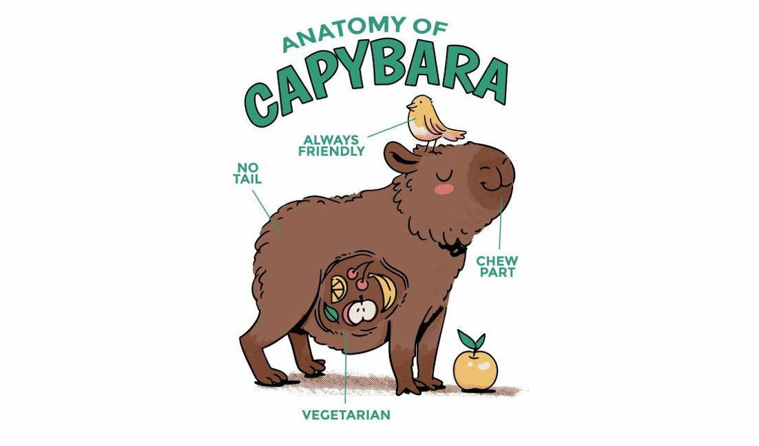 Modelo de design para camiseta Ilustração lúdica de anatomia de capivara
