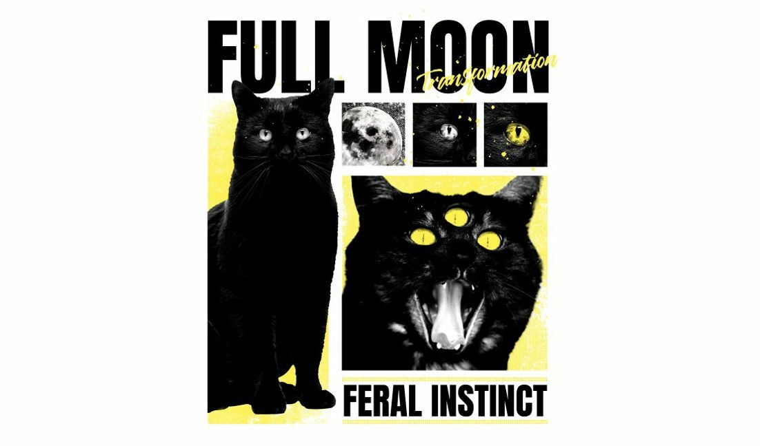 Plantilla de diseño para camiseta Diseño místico de gato negro con temática de transformación de luna llena.