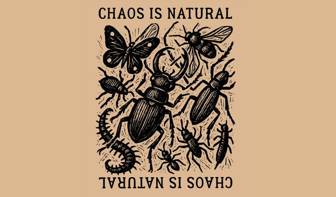 Plantilla de diseño para camiseta Ilustración de insectos con cita "El caos es natural"