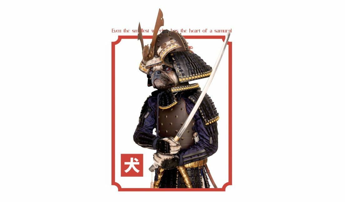 Samurai dog illustration with motivational quote t-shirt design template