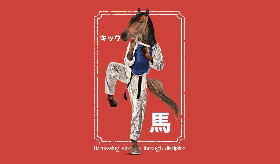 Modelo de design para camiseta Ilustração humorística de cavalo de artes marciais