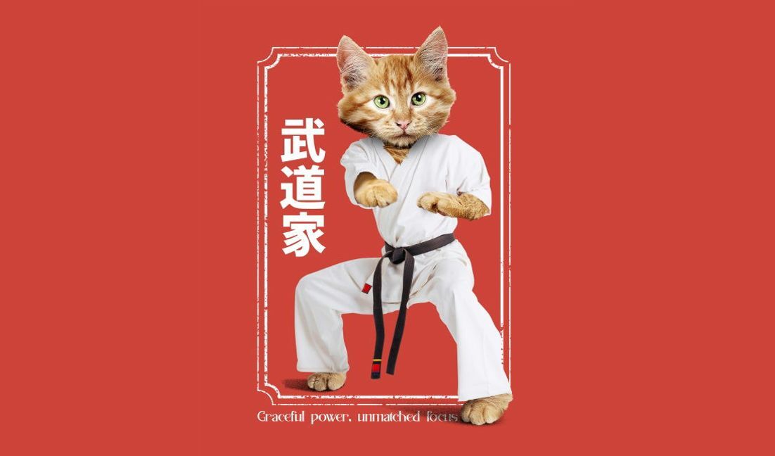 Playful martial arts cat design t-shirt design template