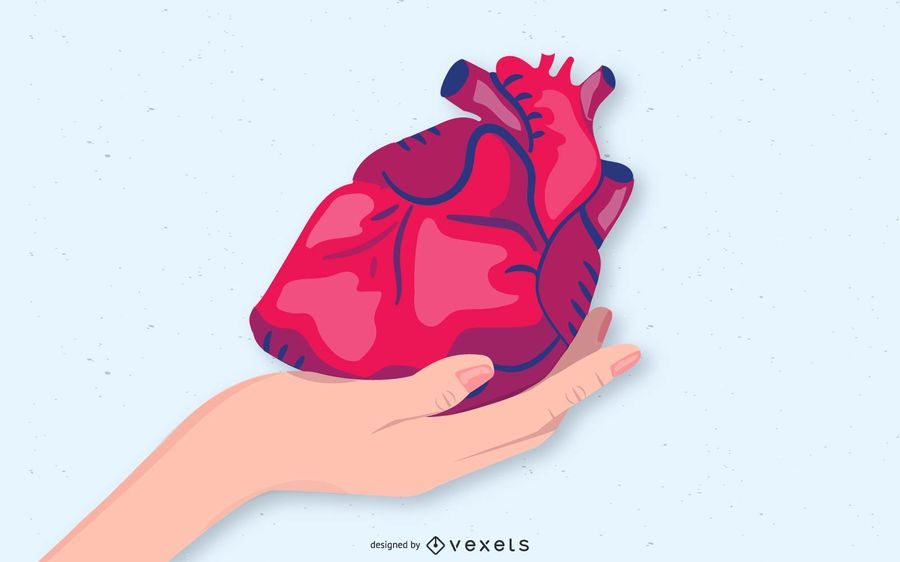 Mano sosteniendo corazon Mano sosteniendo corazon