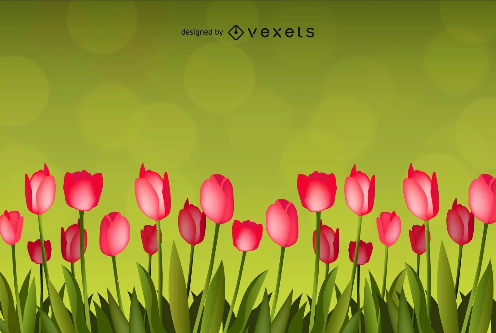 Flower with Green Background Vector Art 