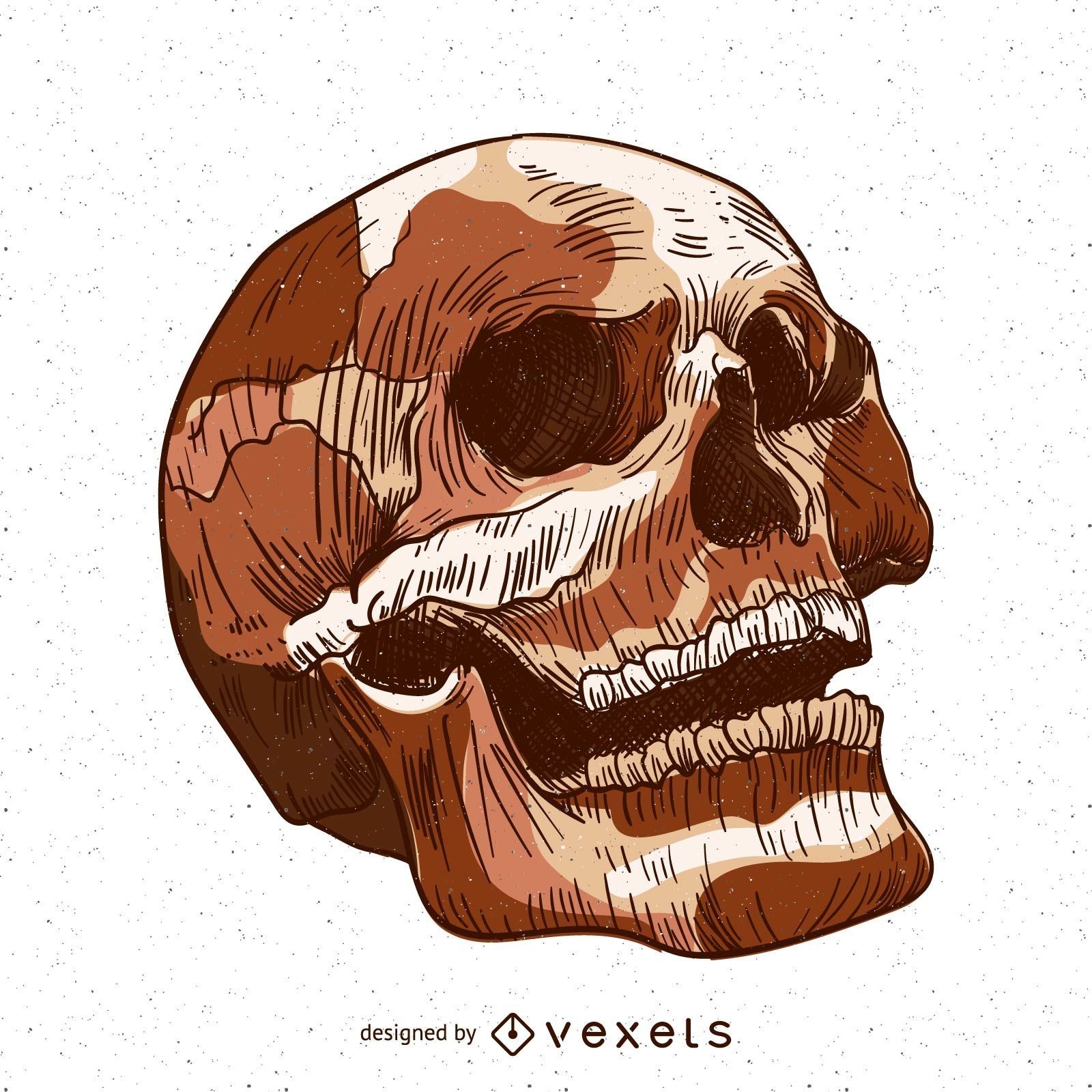 Isolated skull illustration