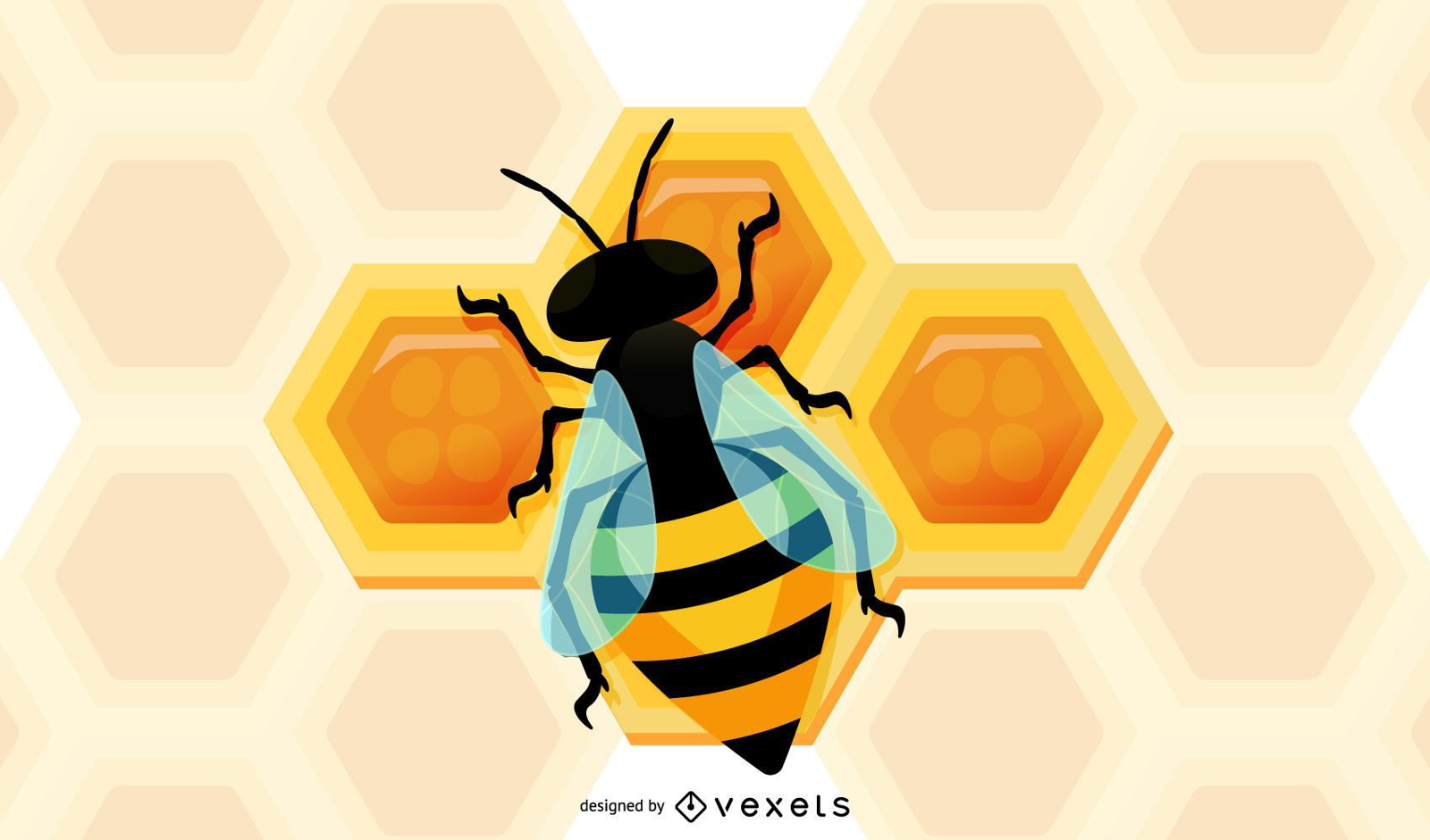 3D bee and Honeycomb