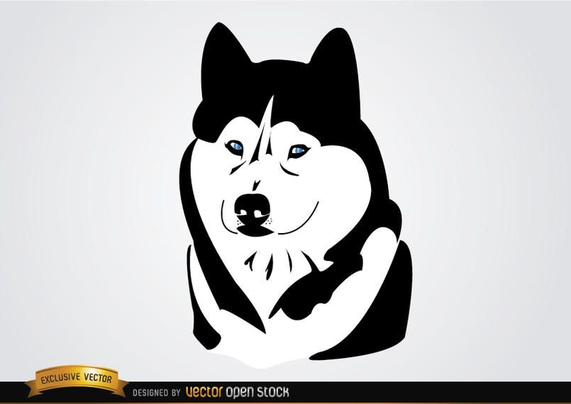 Husky Sibirischer Hund Husky Sibirischer Hund